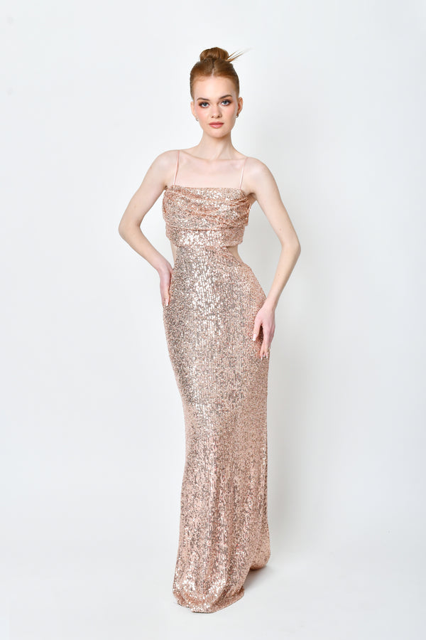 Liza Rose Gold Dress