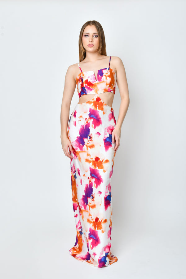 Torina Print Dress