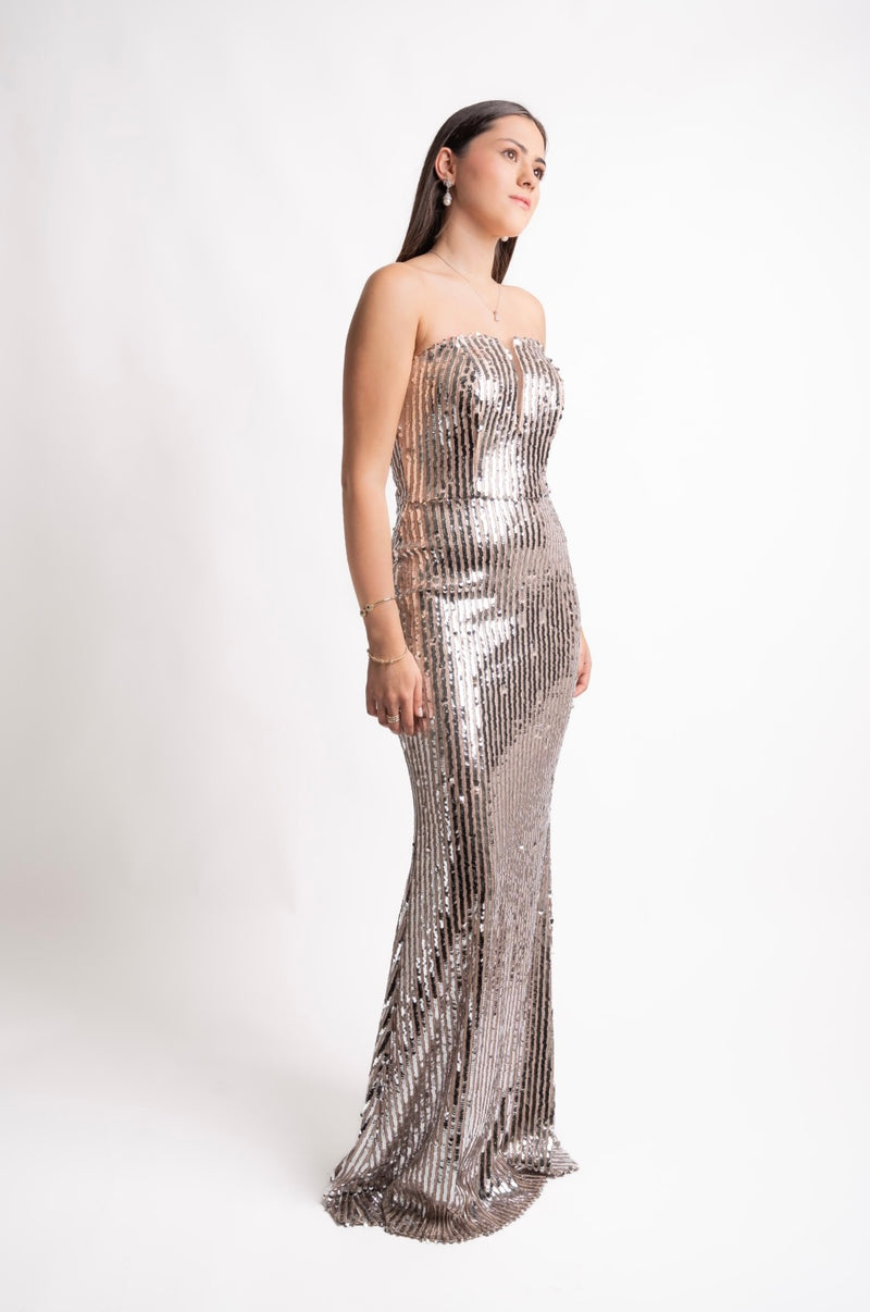 Kara Silver Dress